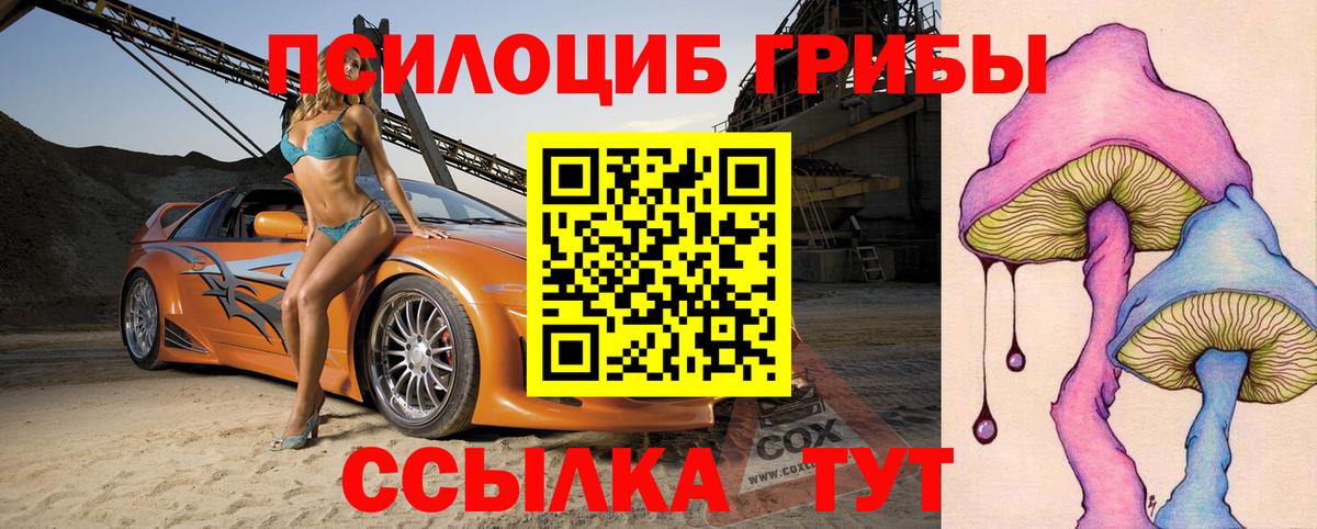 Сарапул  Псилоцибиновые грибы Cubensis  Вход с VPN 